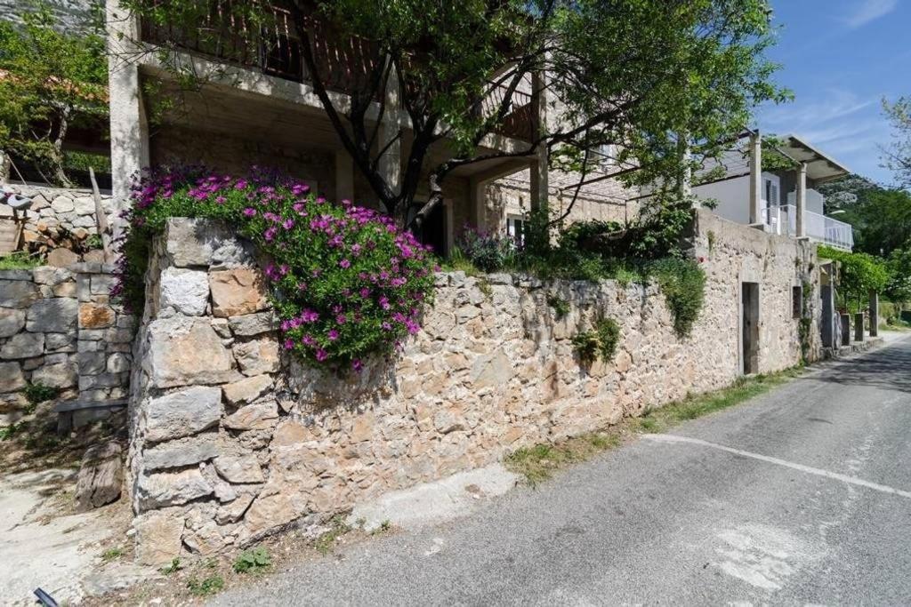 Apartments Felix Babino Polje Exteriér fotografie